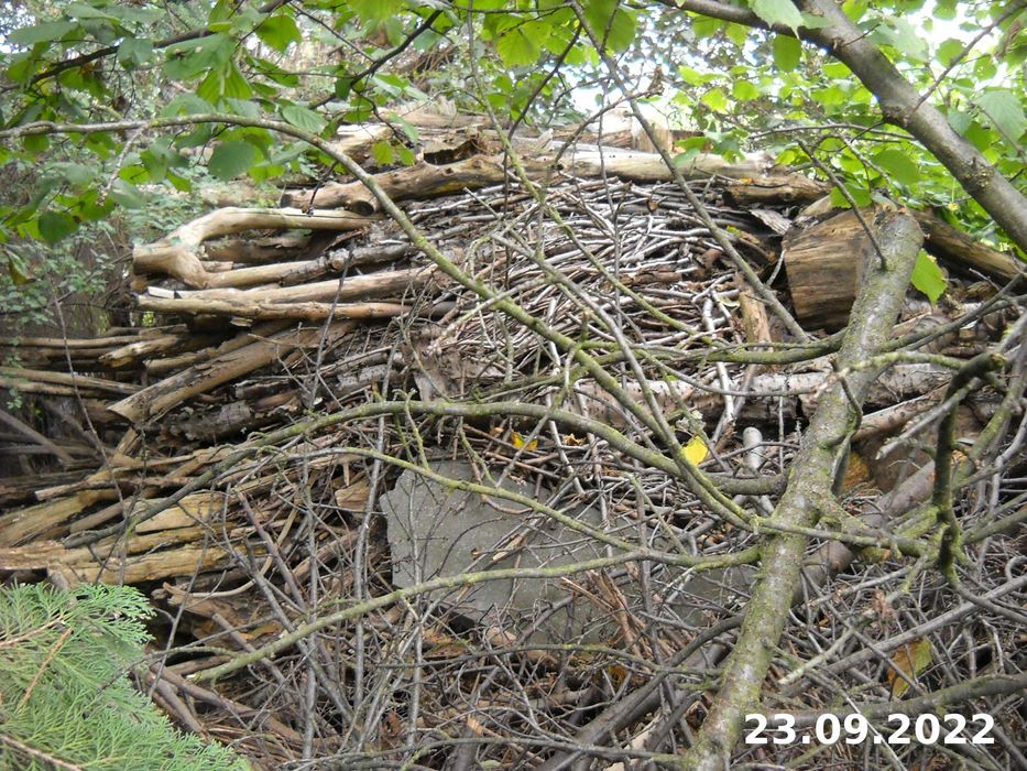 Gałęzie, patyki - na rozpałkę, opał
