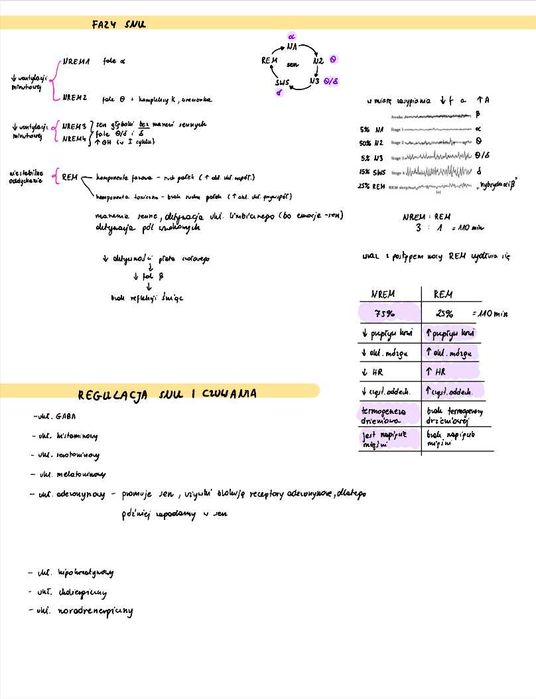 Fizjologia - notatki do egzaminu (medycyna)