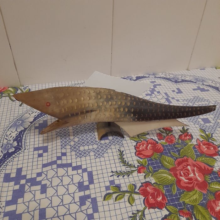Tubarao em  corno boi e anjo