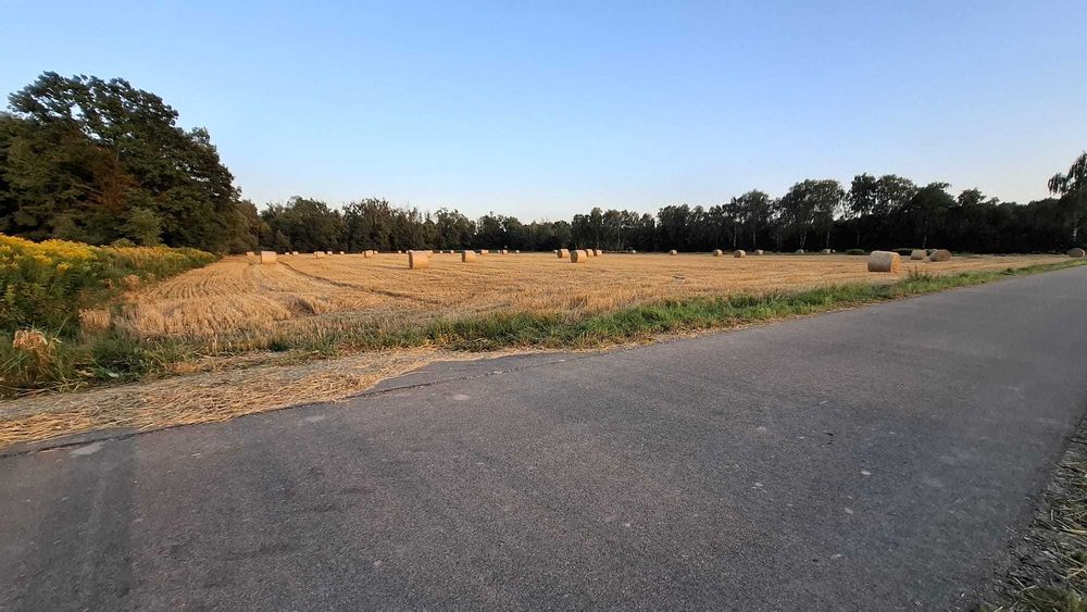 Sprzdam działke 3.20 ha