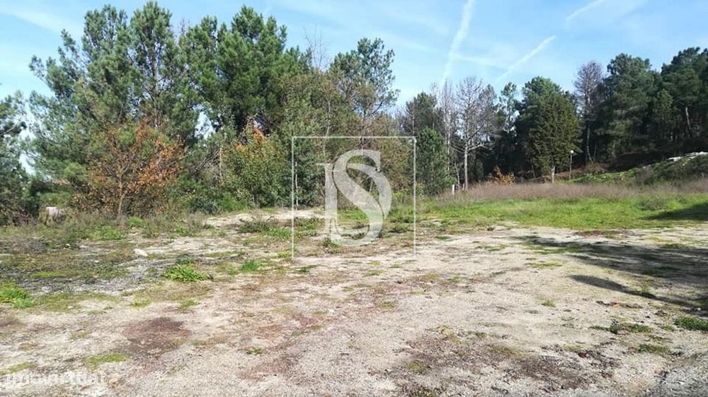 Land for Sale in Seia, São Romão and Lapa dos Dinheiros, Seia