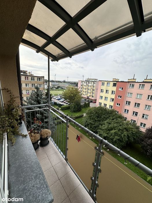 Zdjęcie 4