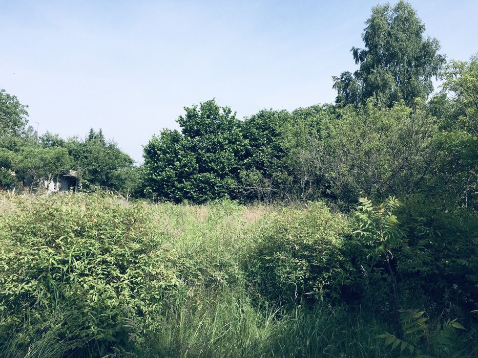 Земельна ділянка в Лісі 18сот. с.Вишнів, 10км.- Луцьк