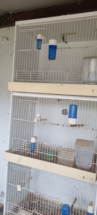 Gaiolas 5 modolos