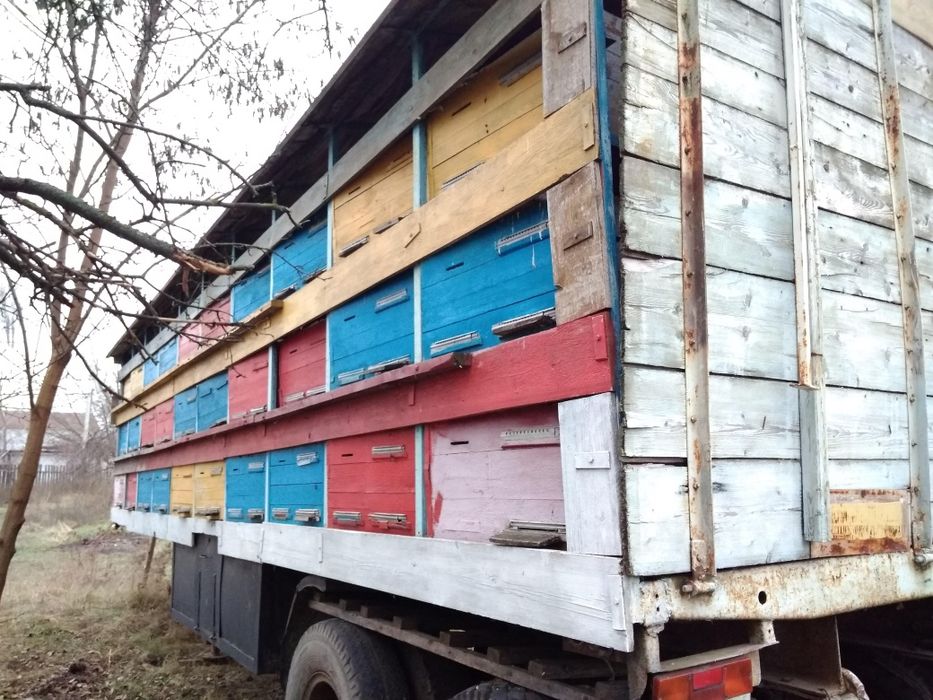 Прицеп с ульями без пчёл павильон причіп з вуликам без бджіл
