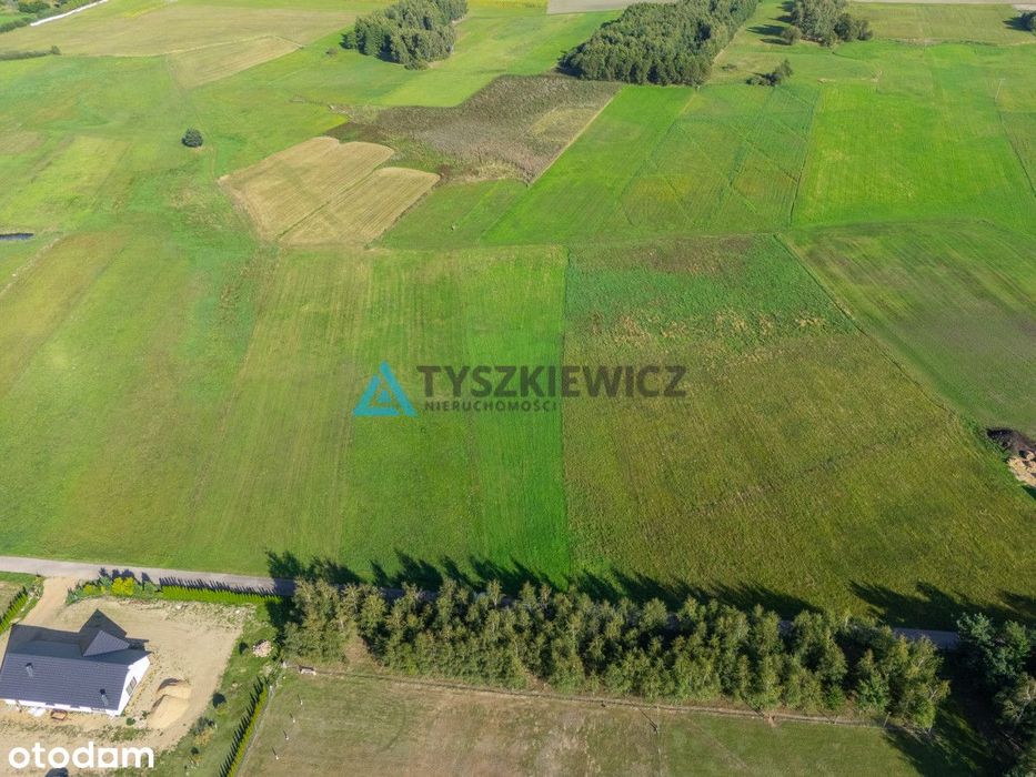 Lipienice k. Chojnic | Duża działka z WZ na 2 domy - Widok 5