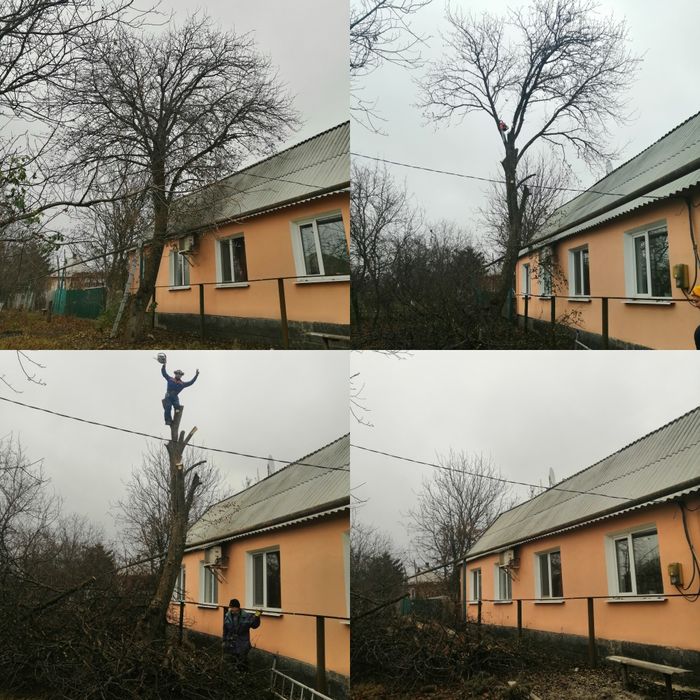 СПИЛЮдеревьяОБРЕЗКАветок/садаРАСПИ. Донецаяобл.