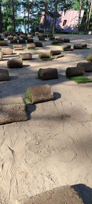 Traw z z rolki sprzedaż transport montaż