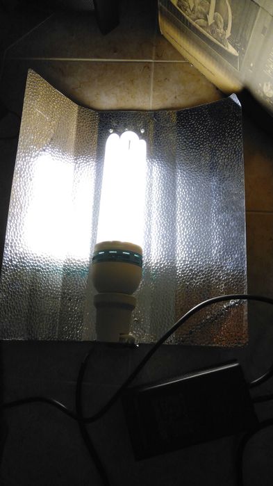 Kit cultivo HPS de 250W Balastro Crescimento Floração