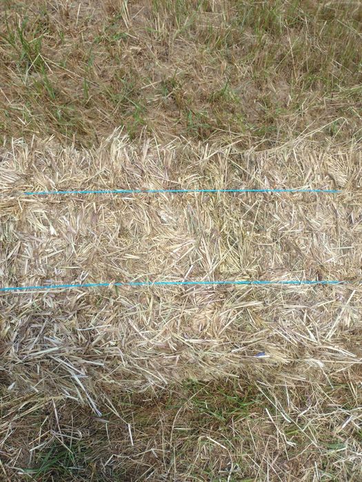 Fardos pequenos palha -  feno , mistura forrageira