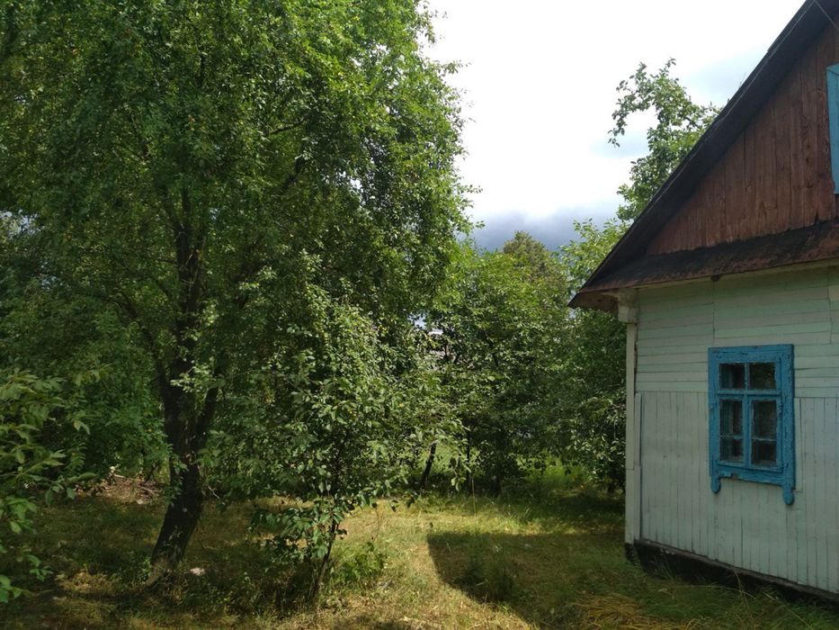 Будинок з ділянкою, хата