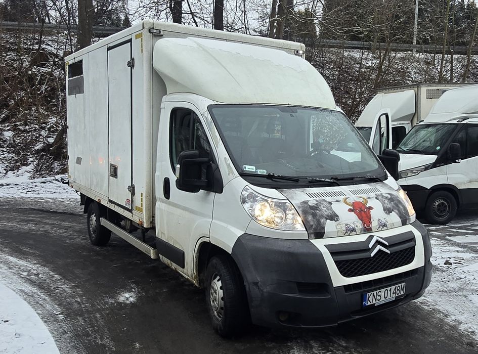Citroen Jumper 2.2 do żywca