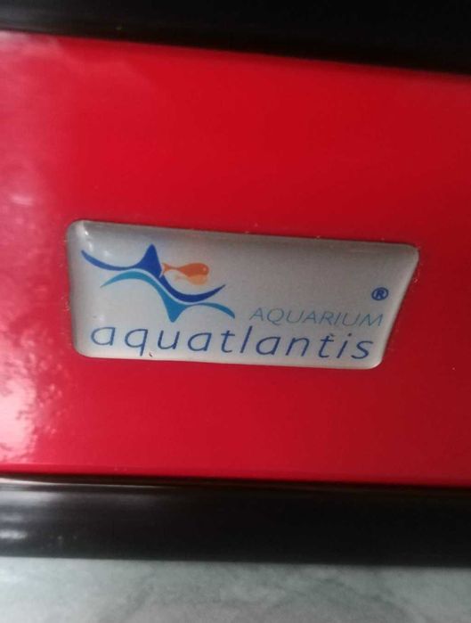 Aquário de Parede da Aquatlantis