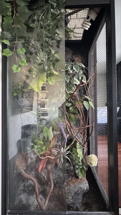 Sprzedam terrarium dla kameleona 50x50x115