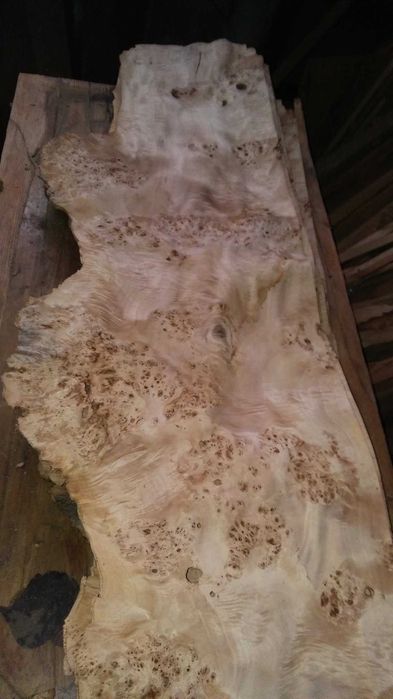 Fornir okleina obłogi dąb, mahoń, jesion, sosna, czeczot flader pasiak