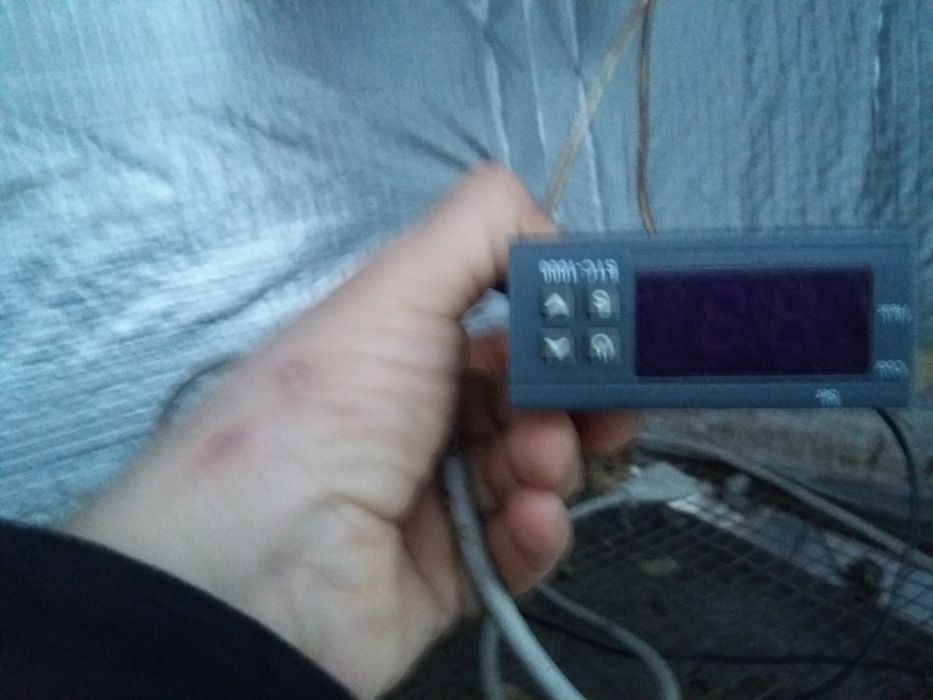 Бруддер ддя відігріву курчат