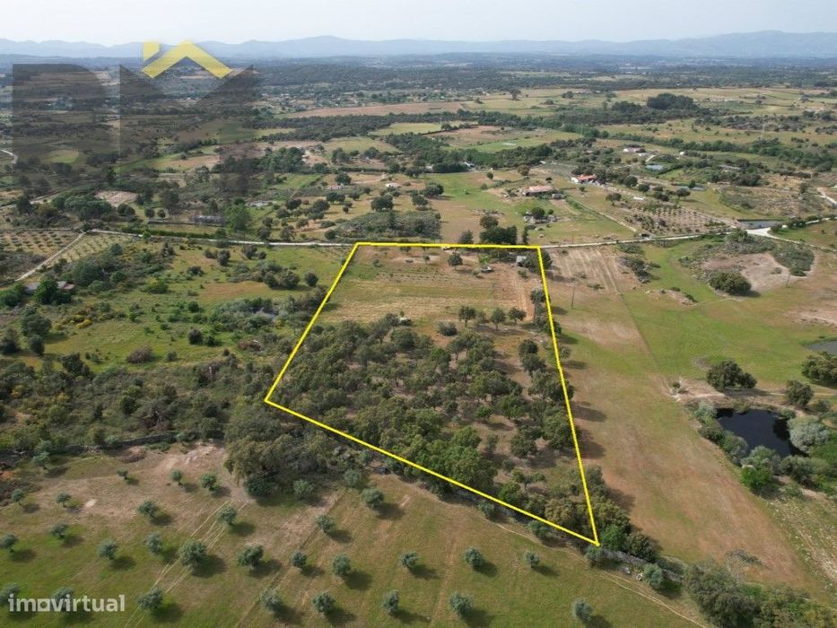 Estate with 2.1 hectares in Castelo Branco