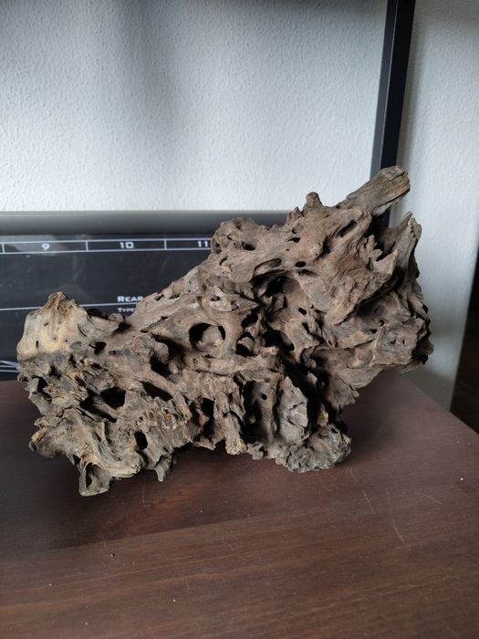 duas peças dragonwood