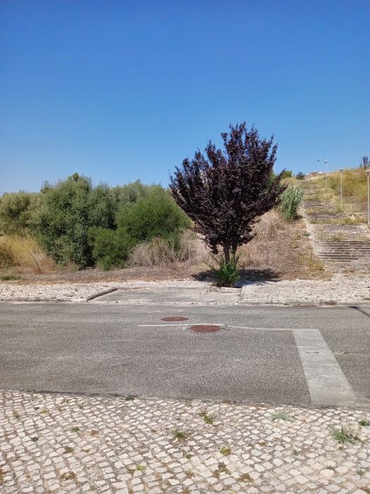 Terreno urbano para construção