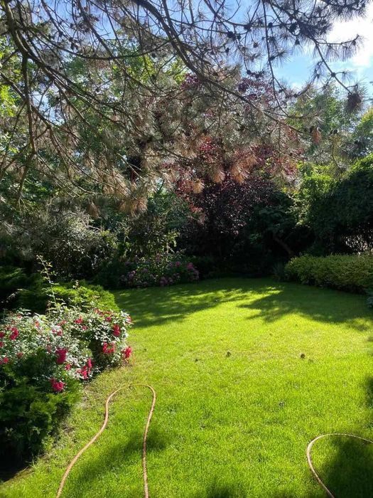 Дом по адресу ул. Спортивная (площадь 550 м²) - Atlanta.ua - фото 6