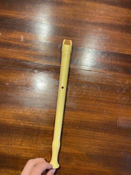 Flute for children64584769785601121