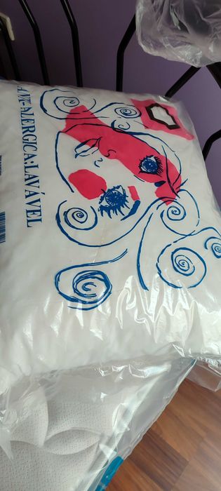 Cama de ferro e Colchão