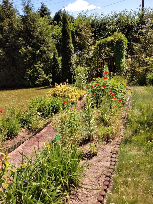 Działka ROD Białołęka