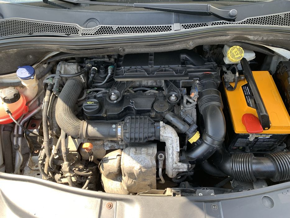 Продається молода !!!