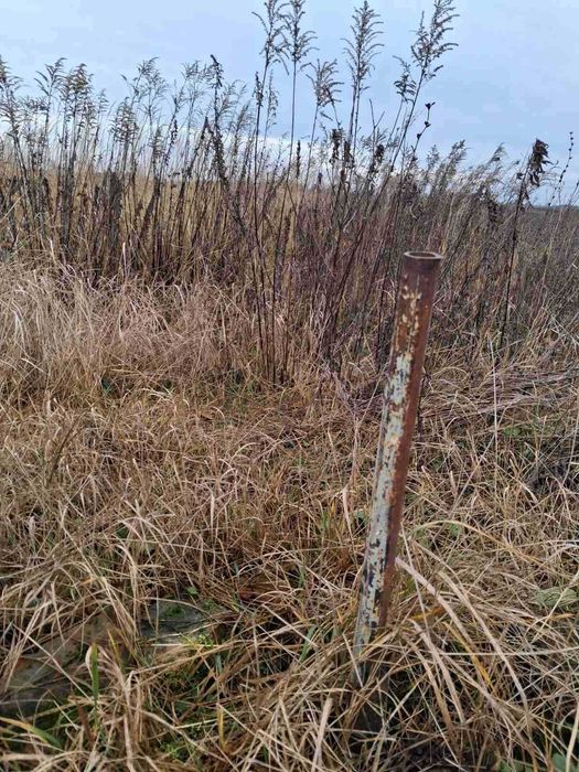 Земля# Садівництво# Білокриницька ОТГ