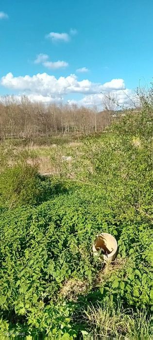 Terreno Para Construçao