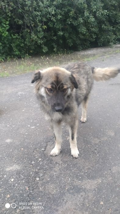 Безкоштовно. Дуже гарна молоденька дівчинка