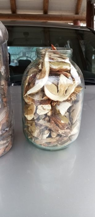 Продам гриби сухі білі