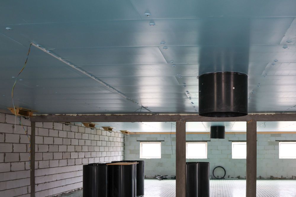 Izolacja Sufitu Dachu Stropu Odchowalni Świń Płyta Styrodur XPS AGRO