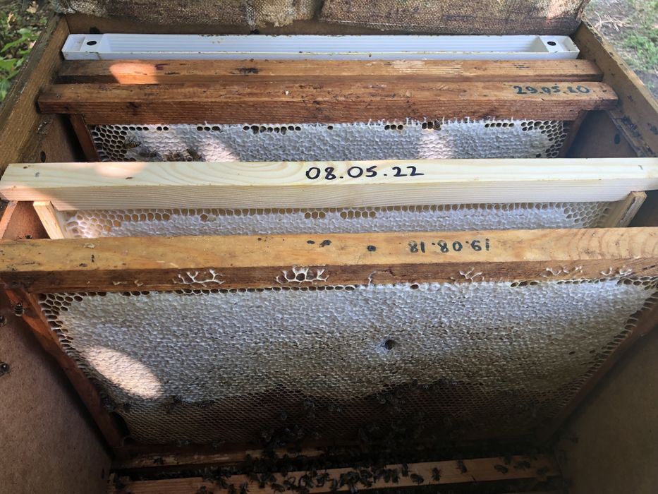 Продам мёд 2024 года