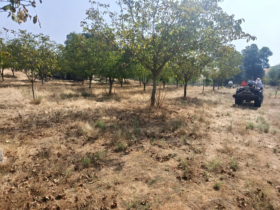 10 Hectares (100.000m2)  Terreno Agrícola Duas Igrejas Miranda do Douro, bem localizado, água e com maquinaria agrícola