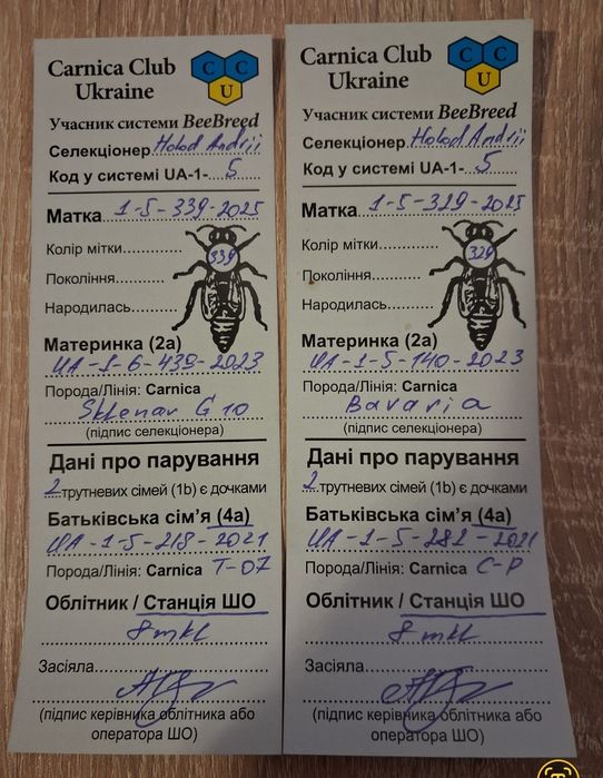 Бджолопакети, бджолосімї на рамку Рут (230). Бджоломатки.