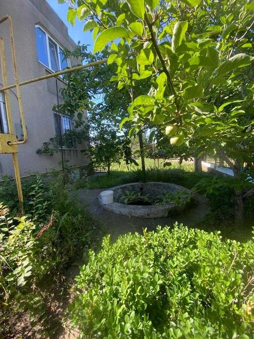 Продам будинок (Кошари, СТ "Економіст")