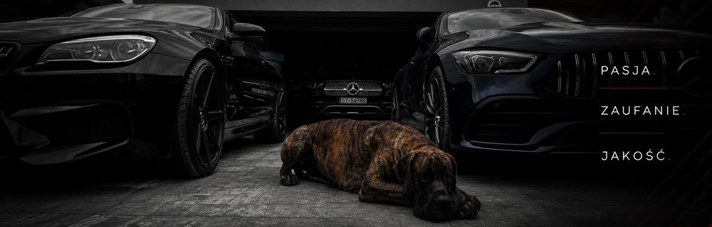 CAR-O-SELL  Krajowe Pewne Auta top banner