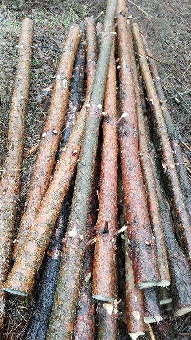 Stemple budowlane słupki ogrodzeniowe cięte na wymiar/życzenie