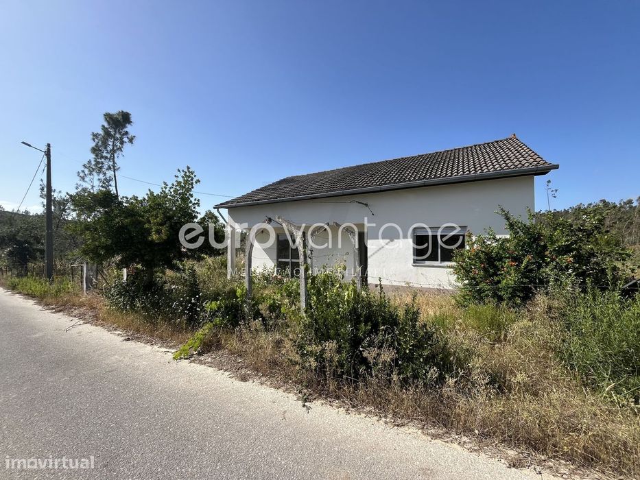 Moradia Térrea para Recuperação | Terreno de 2.000 m² | Valongo, Ourém