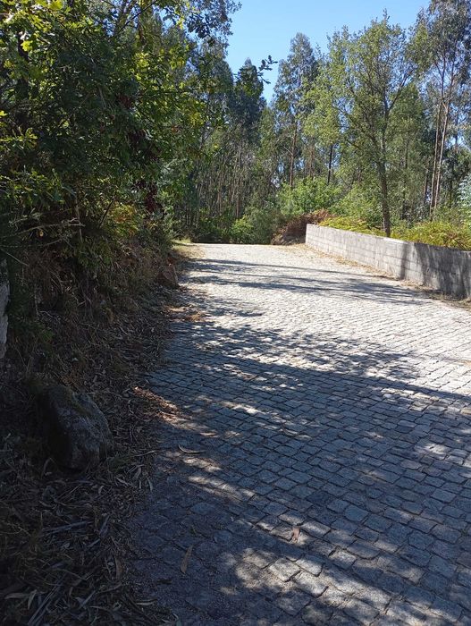 Moradia no Monte Castro