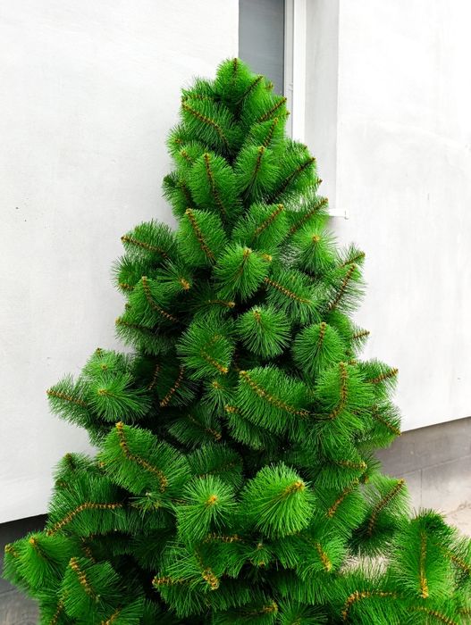 Сосна штучна  ялинка