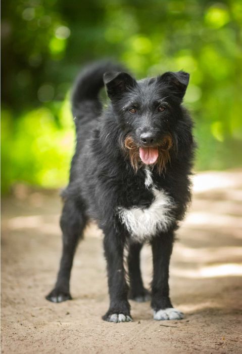 Wspaniala Trufla czeka na dom