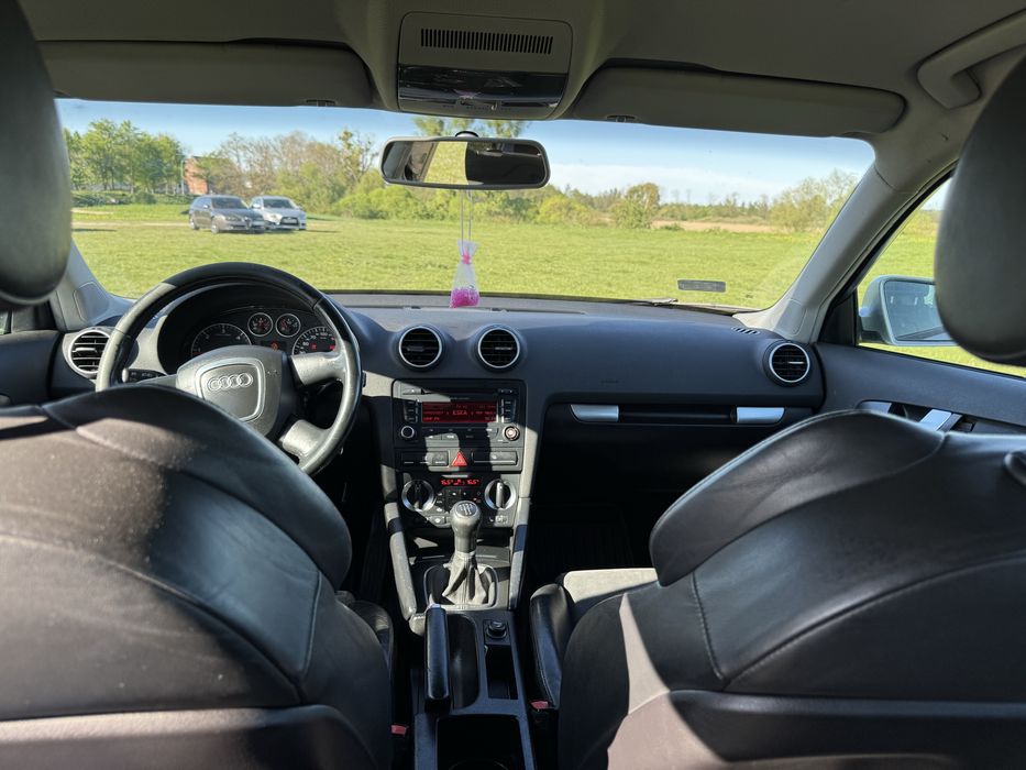 ***Audi A3 8P 1.9 TDI***