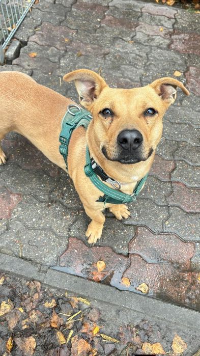 Marzy tylko o jednym – o wolności, miłości i człowieku, który go zrozu