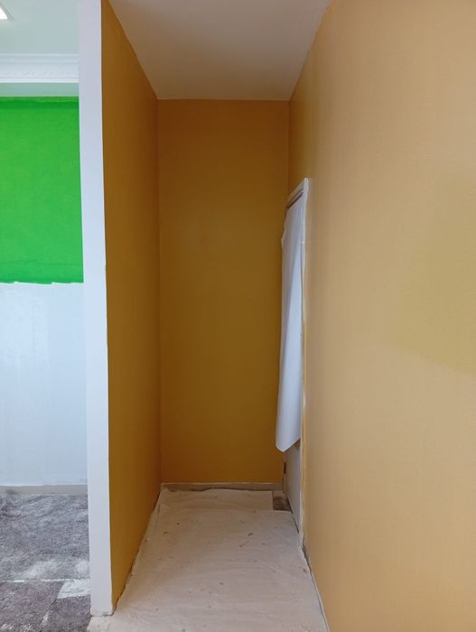 Serviço de pintura profissional