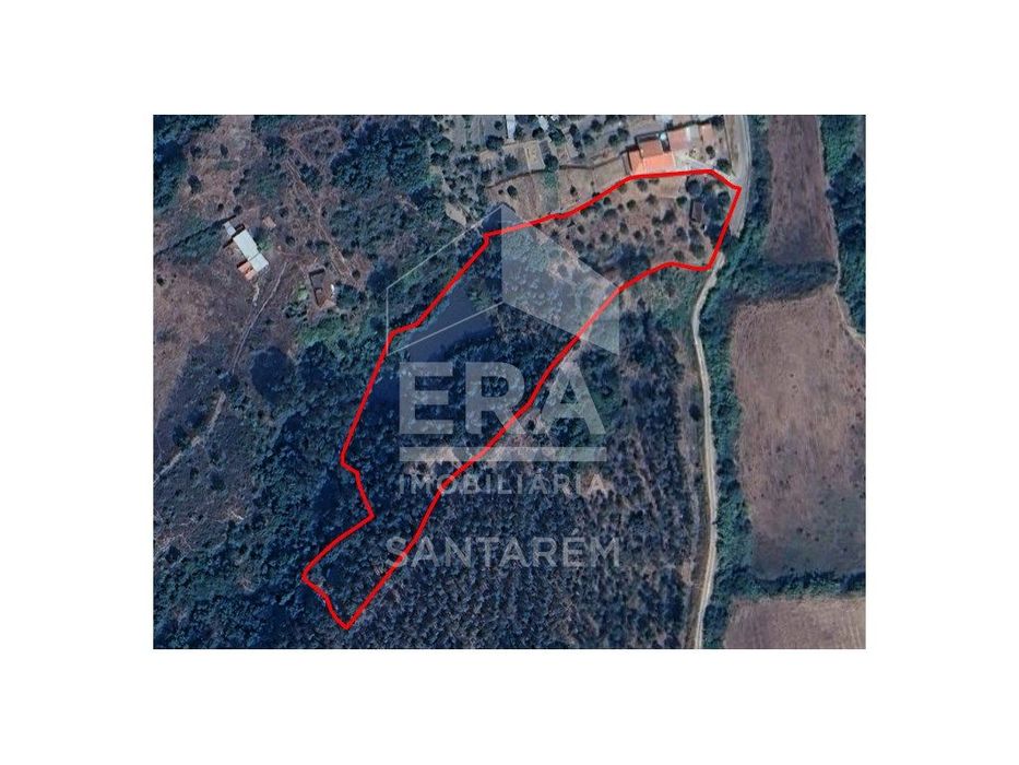 Terreno com cerca de 1 Hectare