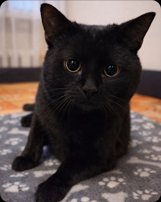 Cudowny Walduś- jego życie to pasmo nieszczęść