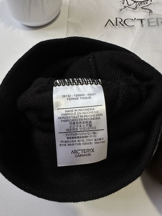 Шапка Arc’teryx Bird Head Toque y2k