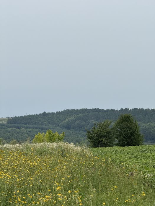 Продаж земельної ділянки